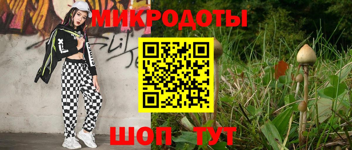 Псилоцибиновые грибы прущие грибы  купить   Унеча  Вход с VPN 