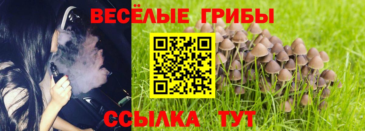 Псилоцибиновые грибы Magic Shrooms Унеча